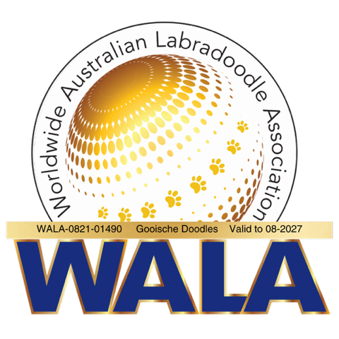 Logo Wala Worldwide Australian Labradoodle Association
